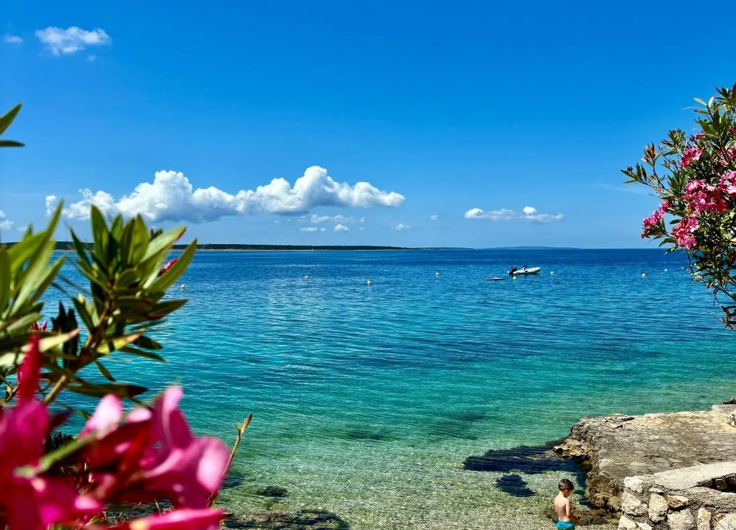 Sea View Mandre Apartment