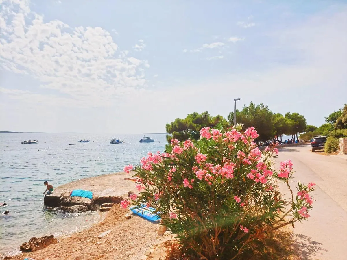 Sea View Mandre Apartment Croatia